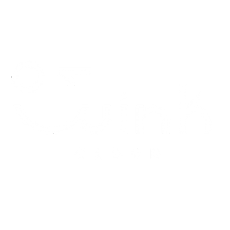 wink cloud